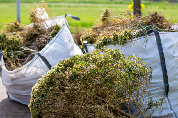 Best Yard Cleanup Services  in Gibsonia, PA